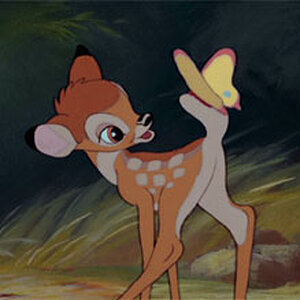 Bambi_butterfly2