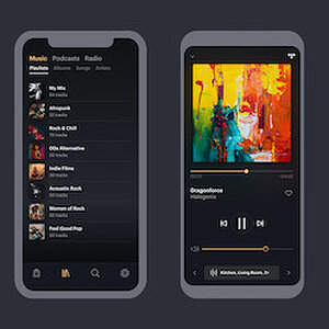 Low--Bowers & Wilkins Music App - Screenshots.jpg