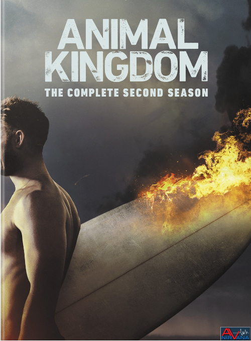 Animal Kingdom S2 DVD_2D Art