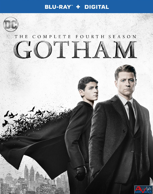 Gotham S4 BD2